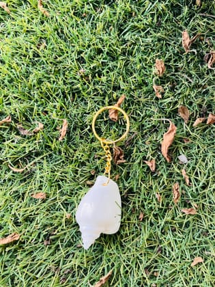 Natural White Seashell Keychain with Gold Ring, Beach Theme Decorative Accessory