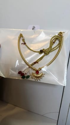 Micro gold polish sari necklace