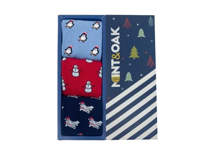 Giftbox of 3 - Holly Jolly Socks for men