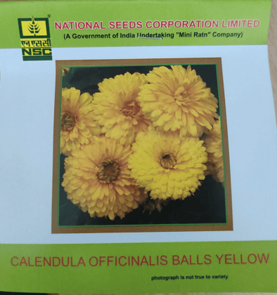 NSC Calendula Officinalis Balls Yellow Flower Seed