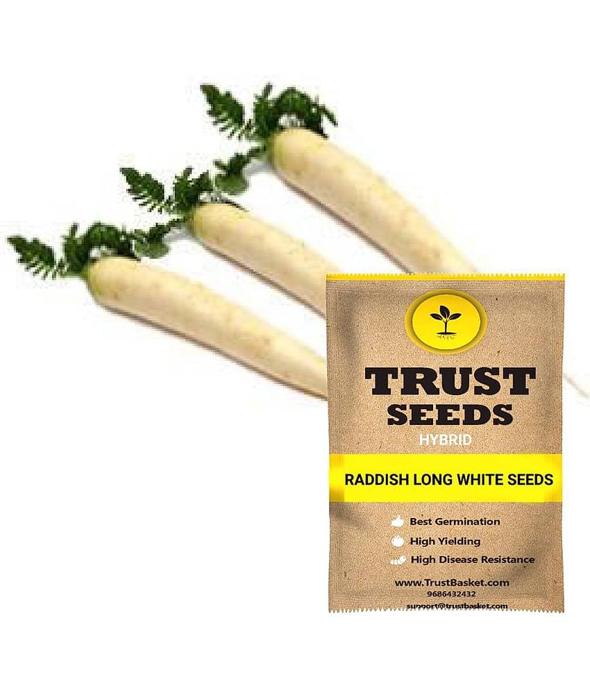 TrustBasket Raddish Long White Seeds Hybrid (15 Seeds)