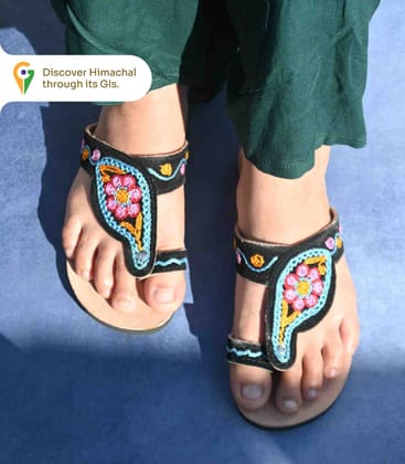 Colorful Embroidered Black Chamba Chappal Colorful Embroidered Black Chamba Chappal