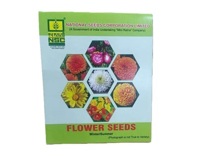 NSC Cosmos Sulphureus Orange - 5g NSC Cosmos Sulphureus Orange - 5g