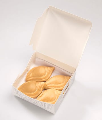 Nolen Gurer Sondesh (4 Pieces)