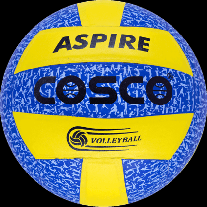Cosco Aspire Volleyball