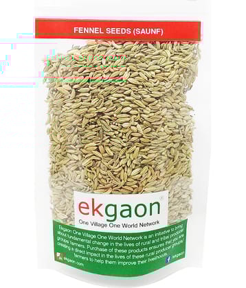 Ekgaon Fennel Seeds (Saunf) 100 gm