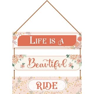 life is a beautiful ride