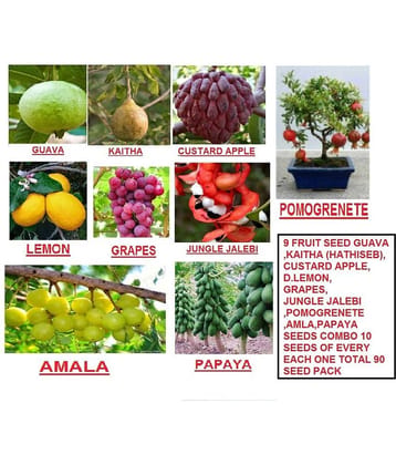 9 FRUIT SEEDS MEGA COMBO (AMLA, PAPAYA, GRAPES, POMOGRENETE, GUAVA, CUSTARD APPLE, LEMON, KAITHA, JUNGLE JALEBI) 10 SEEDS OF EACH | PACK OF 90 SEEDS WITH INSTRUCTION MANUAL