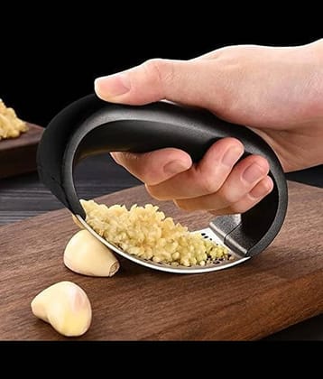 THRIFTKART Steel Garlic Press/Garlic Crusher(Set of 1)