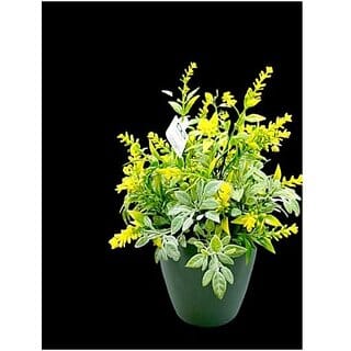 De Gardenia Mini Artificial Plants Multicolours Lifelike Fake PlantsHome and Office Decor Mini Artificial Plants Set for Home and Office Decor Lifelike Fake Plants (Yellow 1)