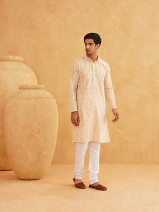 Men's Embroidered Thread Work Cotton Beige Kurta with Churidar-36
