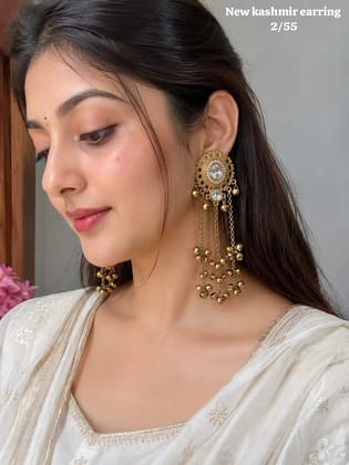 New kashmir earrings