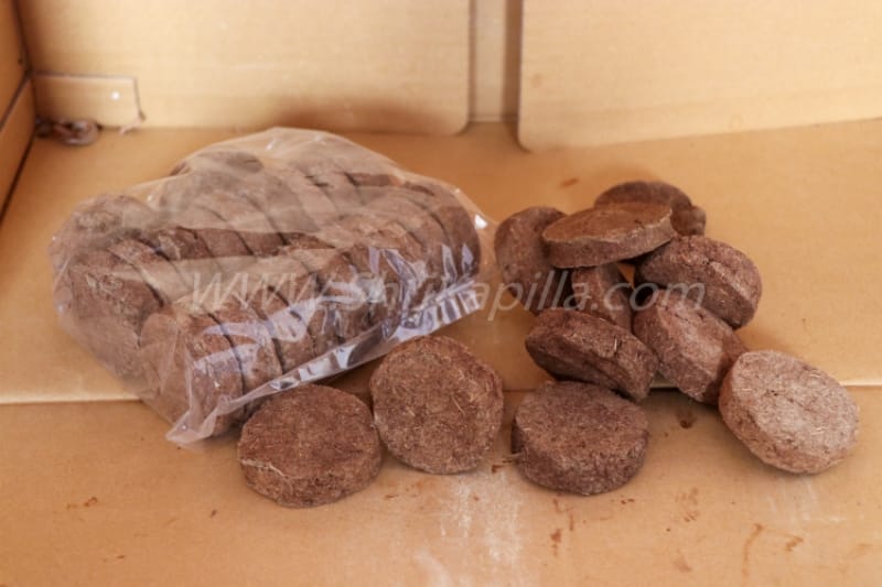 Cow dung cake 2