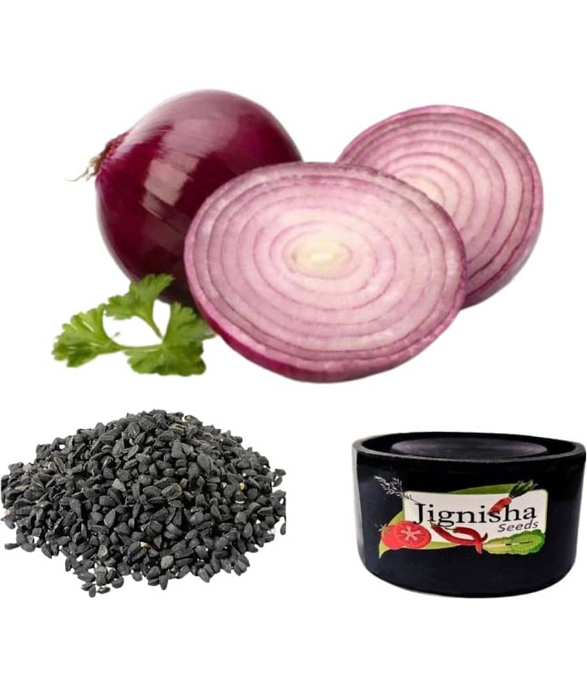 Jignisha Seeds Onion Vegetable ( 500 Seeds )
