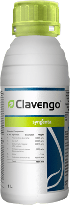 Clavengo