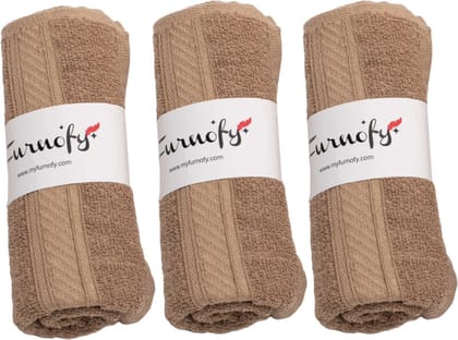 Furnofy Cotton 450 GSM Hand Towel Set Beige (Pack Of 3) Furnofy Cotton 450 GSM Hand Towel Set Beige (Pack Of 3)