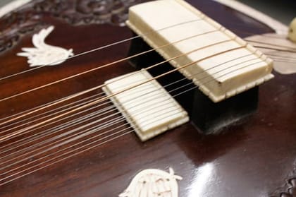 Sitar Strings Set