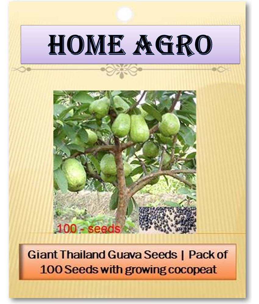 HN organic seed - Fruit Seeds ( 100 )