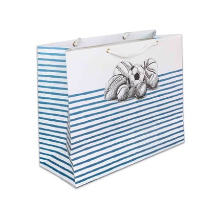 Have A Ball - Gift Bags Large-Pack of 5