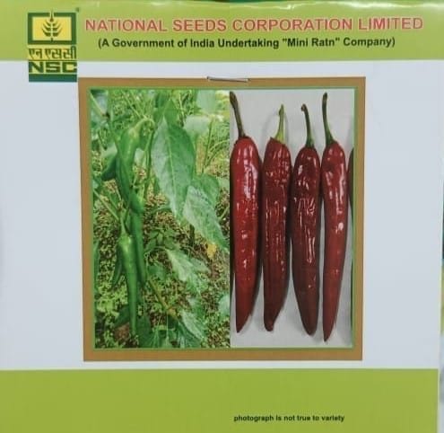 NSC Paprika, KTPL-19 - 10g