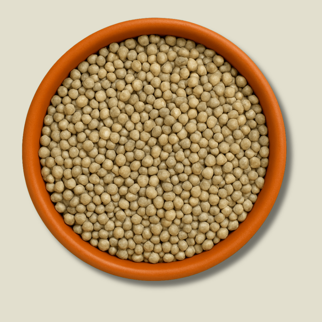 Organic Bajra Millet