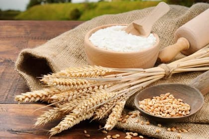 Premium Whole Wheat Flour - 121 kg - One bag