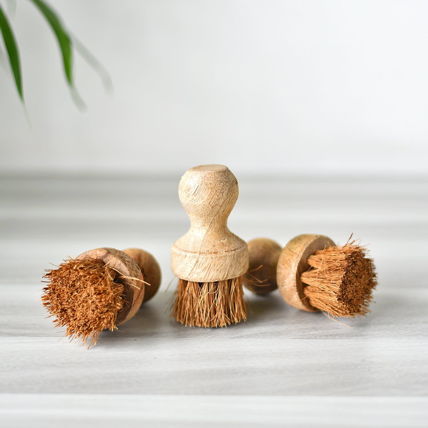 Eco-friendly Cooking Oil Brush for Tawas-1 Piece