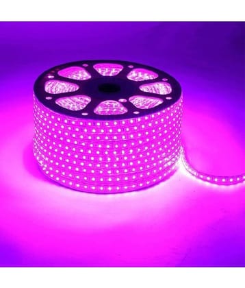 ZESTRUM Pink 10 Mtr LED Strip ( Pack of 1 )