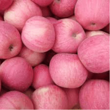 red apple red apple