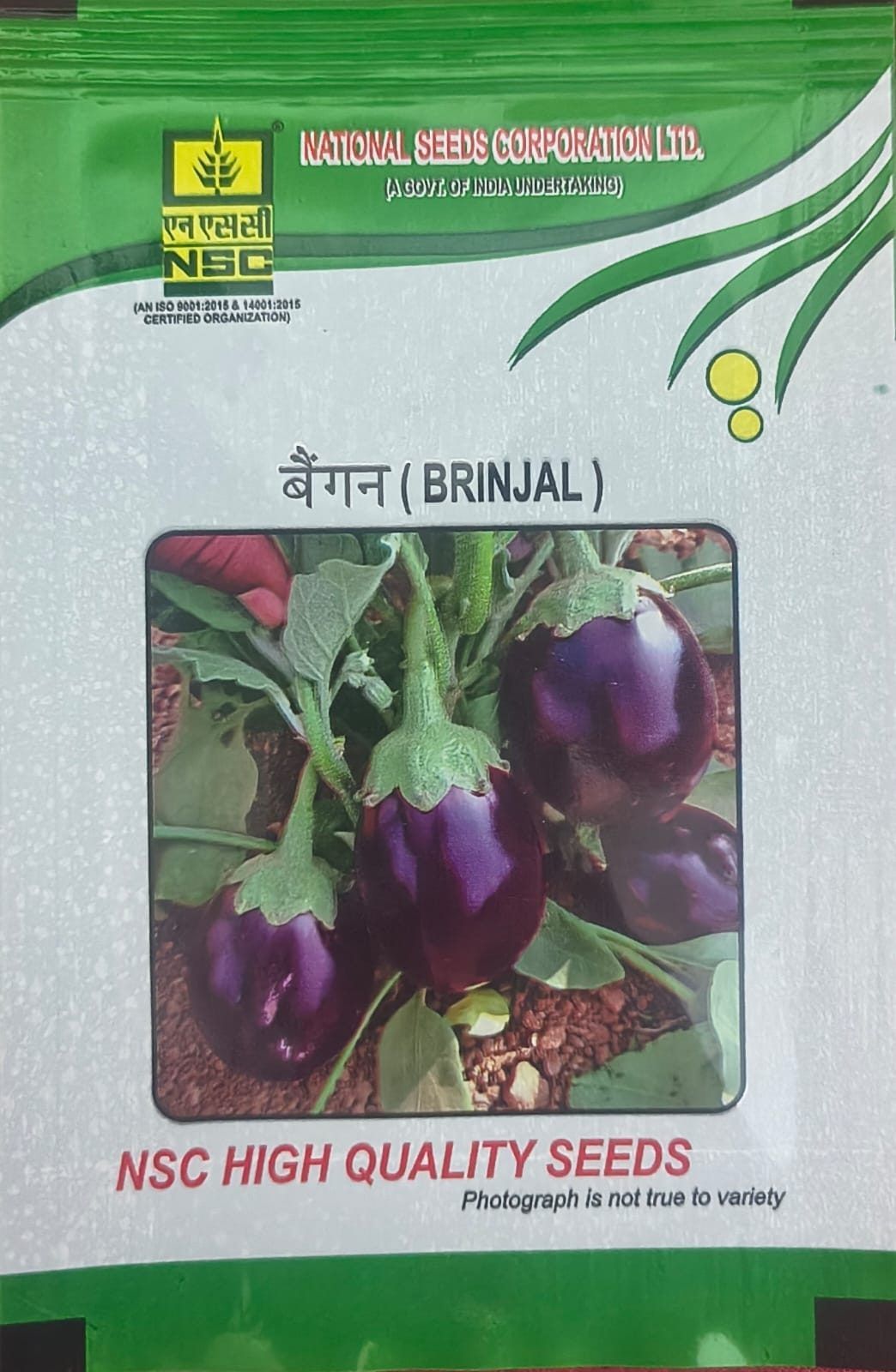 NSC Brinjal Pusa Uttam Seed - 5gm