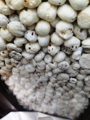 NUTZ PLUZ DELIGHTZ LOTUS SEEDS 500g