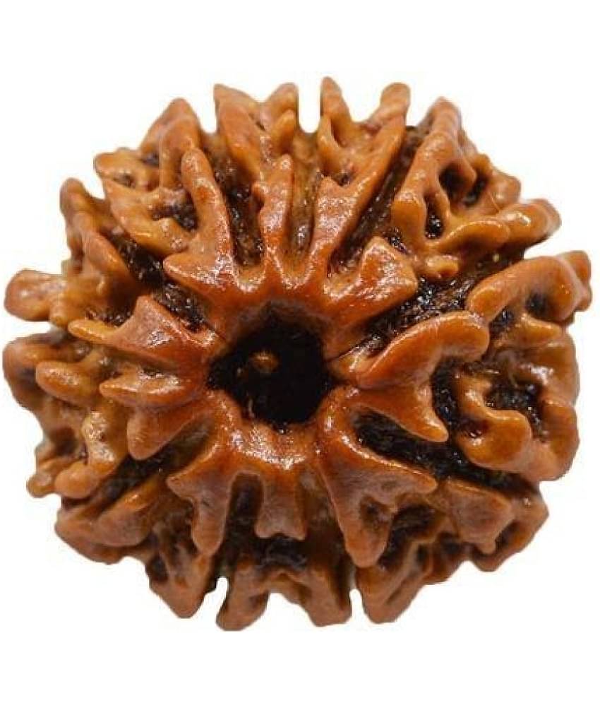 DvR ClicK - 10 Mukhi Rudraksha Pendant ( Pack of 1 )
