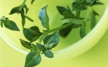 Organic Personal Care Products