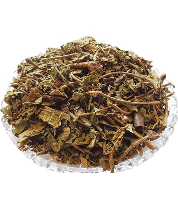 Nutrixia Food GUDMAR - GURMAR - गुड़मार - GUDMAR - MADHUNASHNI 100 gm