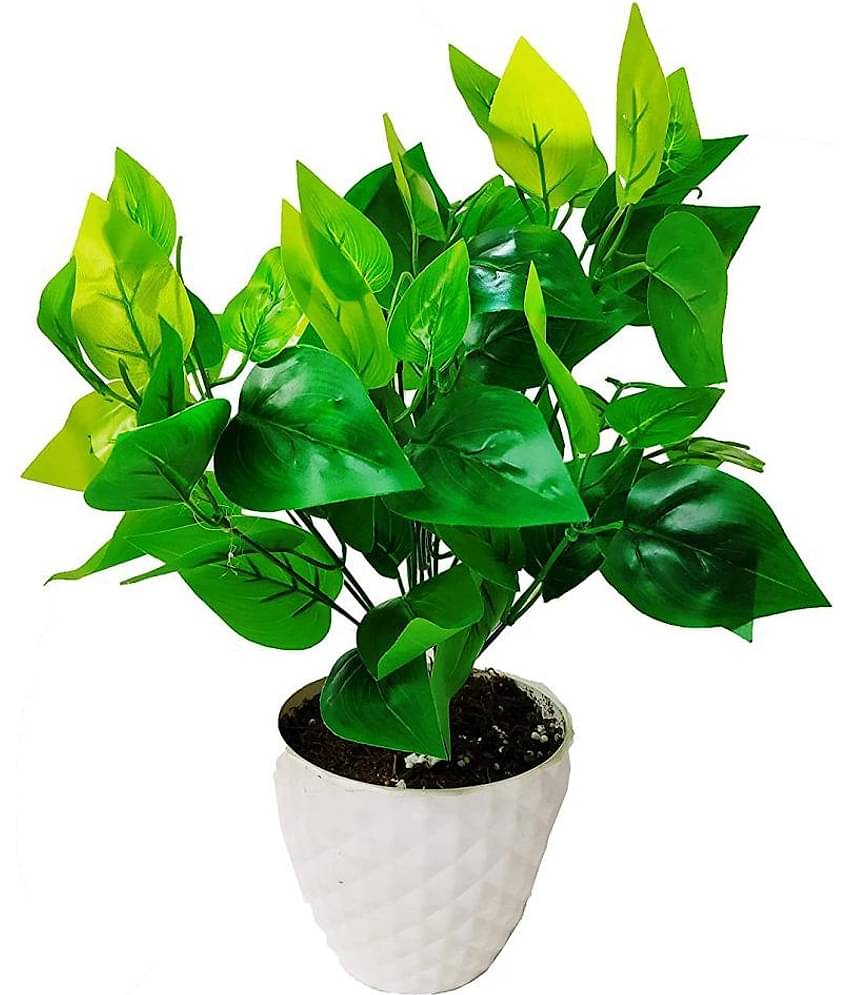 Green plant indoor Artificial Money Plants Multicolour Bonsai Plastic - Pack of 1