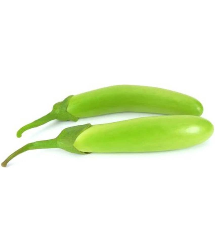 Brinjal Seeds, Long Green Eggplant, Aubergine Vegetable Seeds Pack of 100 by AllThatGrows