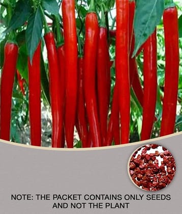Recron Seeds - Chilli Vegetable ( 50 Seeds )