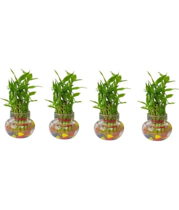 Green plant indoor - Green Wild Artificial Flowers With Pot ( Pack of 4 )