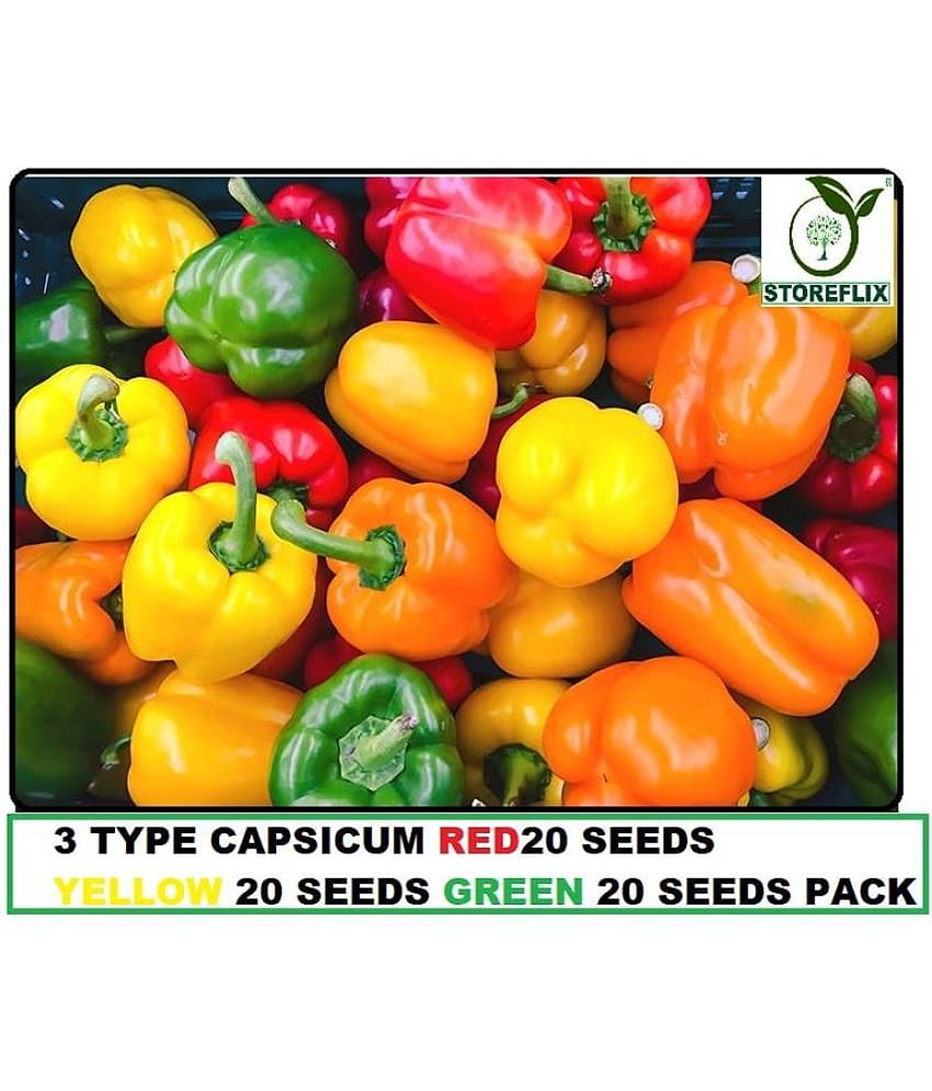 3 DIFFERENT TYPE MIX VARIETY CAPSICUM SHIMLA MIRCH VEGETABLE PLANT SEEDS COMBO PACK RED YELLOW GREEN 20 -20 SEEDS OF EACH ONE (60 SEEDS PACK )WITH USER MANUAL FOR INDOOR OUTDOOR HOME KITCHEN GARDENING USE