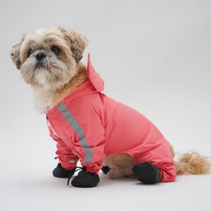 RainPaw Combo - Foxy Full Coverage (with paw covers)-Red / S
