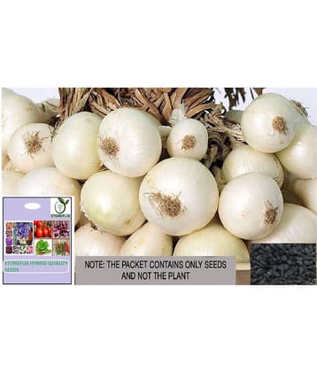 STOREFLIX Onion Vegetable ( 500 Seeds )