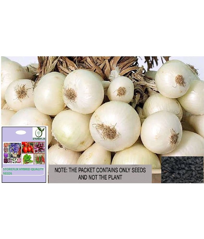 STOREFLIX Onion Vegetable ( 500 Seeds )