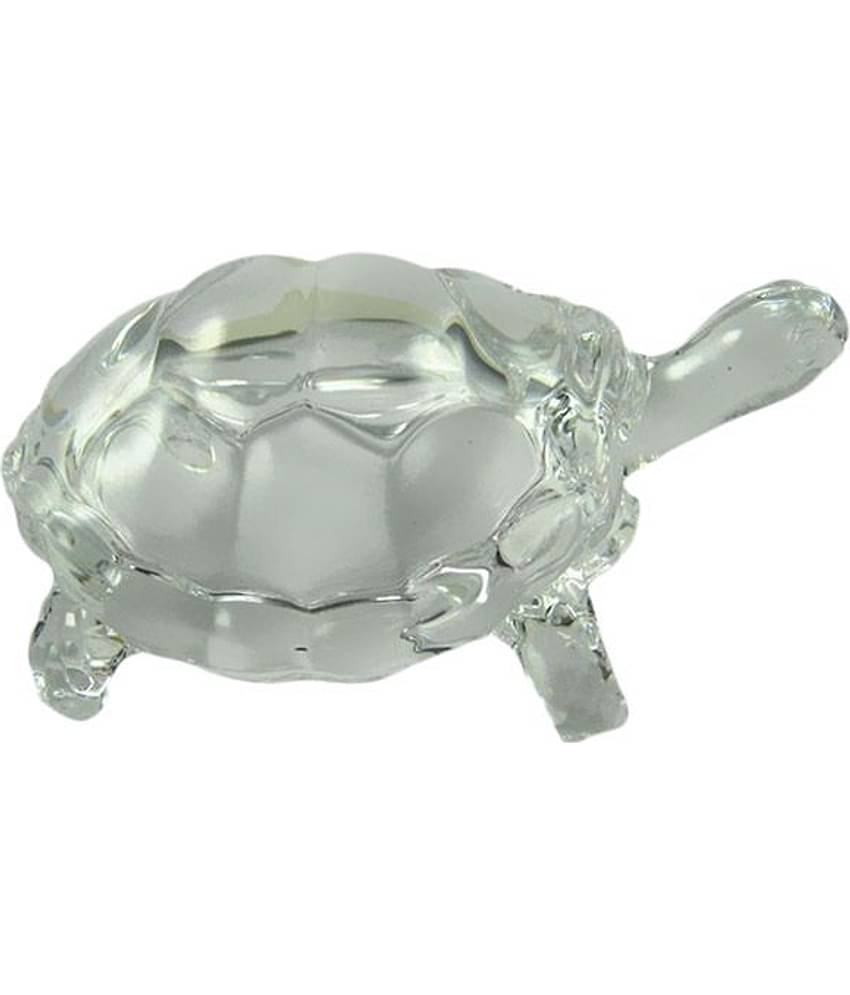 Bgroovy Crystal Tortoise