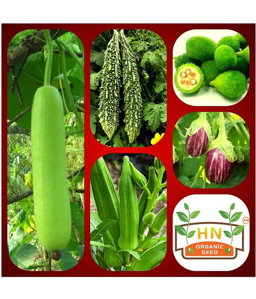 Vegetable Seeds combo for Kitchen Garden - 35+ Seeds | Easy to Grow with Instruction Manual