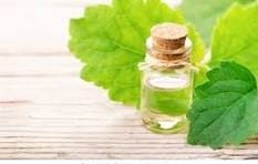 Patchouli hydrosol