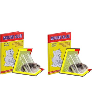 Home Lane Rat Trap ( Pack of 2 )
