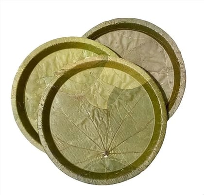 EcoFriendly DHARITHRI Leaf Plates by Aware