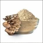 Dehydrated Mushroom (Oyster) Powder Dehydrated Mushroom (Oyster) Powder