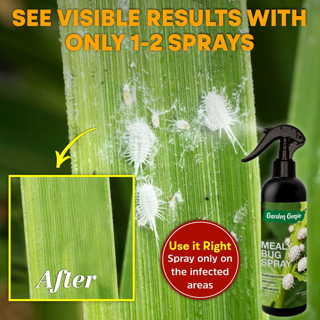Garden Genie Mealy Bug Killer Spray for Plants 250ml | 100% Natural White Bug Insecticide for Plants Home Garden | No Harmful Chemicals | Pet & Children Safe