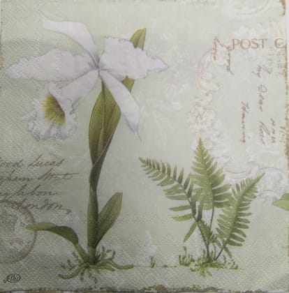 Decoupage Napkin / Tissue papers - GT1923 Decoupage Napkin / Tissue papers - GT1923